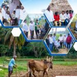 andhra's tenant farmers. 1