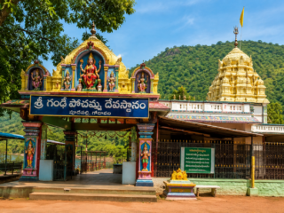gandi pochamma temp